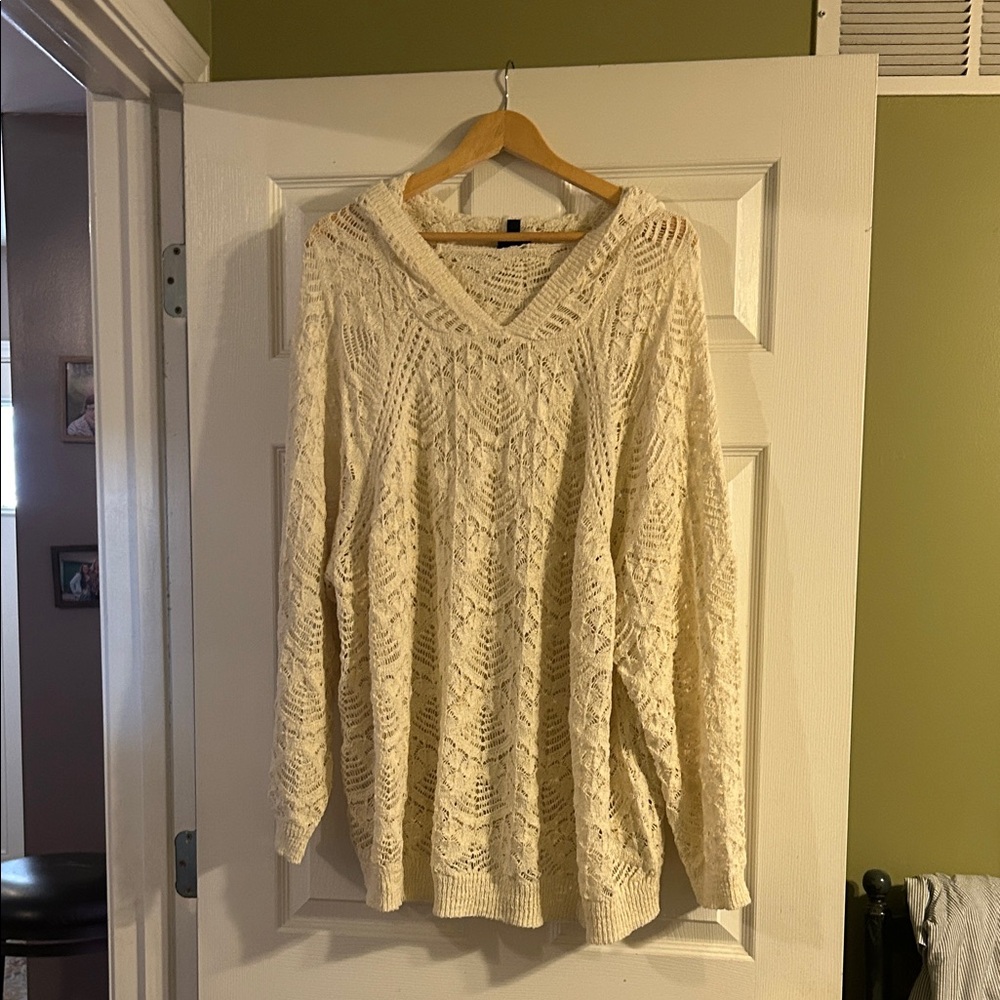 Torrid Cream V-Neck Sweater
